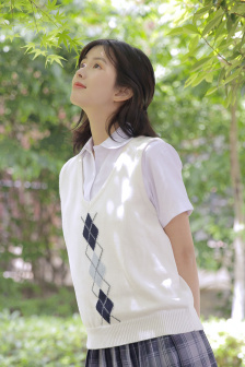 女管家法国满天星